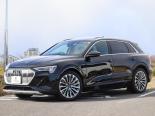 Audi e-tron (GEEAS, GEEASB) 1 поколение, джип suv 5 дв. (2020 -  н.в.)