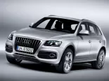 Audi Q5 (8RB) 1 поколение, джип suv 5 дв. (2008 - 2012)