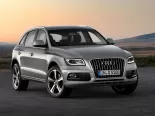 Audi Q5 (8RB) 1 поколение, рестайлинг, джип suv 5 дв., гибрид (2012 - 2017)