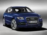 Audi SQ5 (8RB) 1 поколение, джип suv 5 дв. (2013 - 2017)