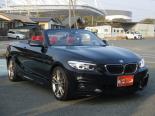 BMW 2-Series (2F20) 1 поколение, рестайлинг, открытый кузов (2017 - 2021)