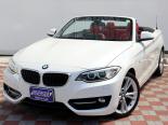 BMW 2-Series (1J20, 2F20) 1 поколение, открытый кузов (2015 - 2017)