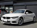 BMW 4-Series (4N20, 4P30) 1 поколение, рестайлинг, купе (2017 - 2020)