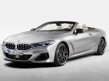 BMW 8-Series (G14) 2 поколение, рестайлинг, открытый кузов (2022 - 2023)