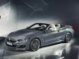 BMW 8-Series (G14) 2 поколение, открытый кузов (2018 - 2022)