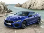 BMW M8 (F92) 1 поколение, купе (2019 - 2022)