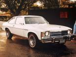 Buick Skylark (B27, C27, W27) 5 поколение, купе (1974 - 1979)