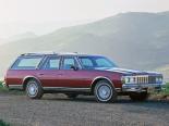 Chevrolet Caprice (N35) 3 поколение, универсал (1976 - 1979)