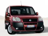 Fiat Doblo (223) 1 поколение, рестайлинг, минивэн (2005 - 2016)