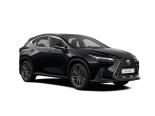 Lexus NX250 (AAZA25) 2 поколение, джип suv 5 дв. (2021 -  н.в.)