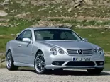 Mercedes-Benz CL-Class (C215) 2 поколение, рестайлинг, купе (2002 - 2006)