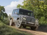 Mercedes-Benz G-Class (W463) 2 поколение, 7-й рестайлинг, джип suv 5 дв. (2015 - 2018)