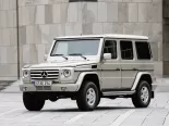 Mercedes-Benz G-Class (W463) 2 поколение, 5-й рестайлинг, джип suv 5 дв. (2008 - 2012)