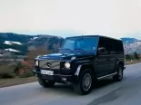 Mercedes-Benz G-Class (W463) 2 поколение, 2-й рестайлинг, джип suv 5 дв. (1998 - 2002)