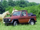 Mercedes-Benz G-Class (W4210, W4216, W4218, W4310, W4312, W4317) 1 поколение, джип suv 5 дв. (1979 - 1991)