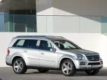 Mercedes-Benz GL-Class (1823, 1824, 1825, 1828, 1871, 1886) 1 поколение, рестайлинг, джип suv 5 дв. (2009 - 2012)