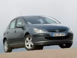 Peugeot 307 (3A C) 1 поколение, хэтчбек 5 дв. (2001 - 2005)