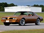 Pontiac Firebird 2 поколение, 2-й рестайлинг, купе (1975 - 1978)