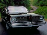 Pontiac Grand Am (G27) 2 поколение, рестайлинг, купе (1979 - 1980)