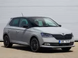 Skoda Fabia (NJ3) 3 поколение, рестайлинг, хэтчбек 5 дв. (2018 - 2022)