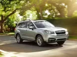 Subaru Forester (SJ9) 4 поколение, рестайлинг, джип/suv 5 дв. (2016 - 2018)